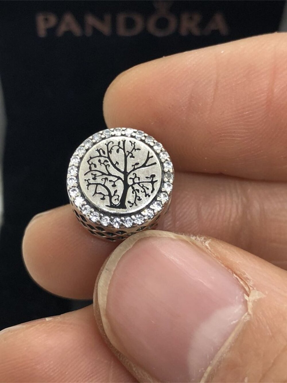 ✨🔥Pandora Grandma Charm family tree Charm